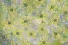 USA, Washington State, Seabeck. Abstract pattern of dogwood blossoms. Art Print